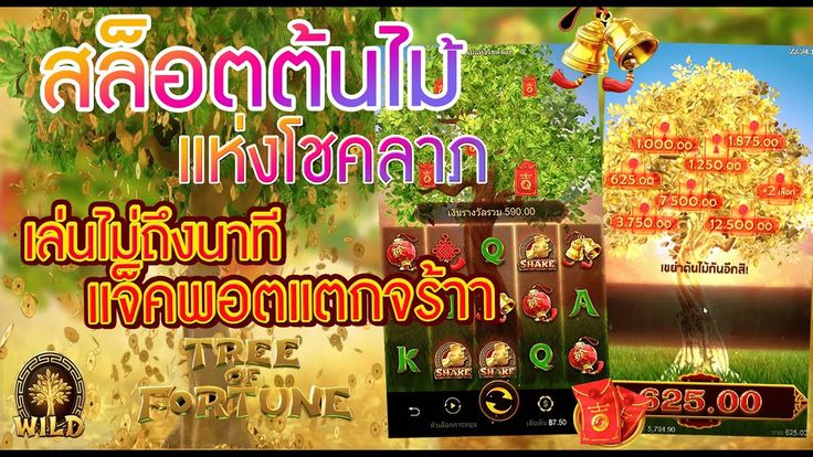 ย้ายที่นอนวันไหนดี พฤษภาคม 2567 นำมาซึ่งโชคลาภนำมาซึ่งความมั่งคั่ง